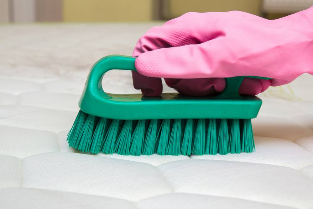 papa Pesimista par Cómo limpiar un colchón de espuma | Ventadecolchonesbaratos.es